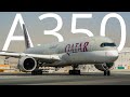 Airbus A350 | Masked Racoon