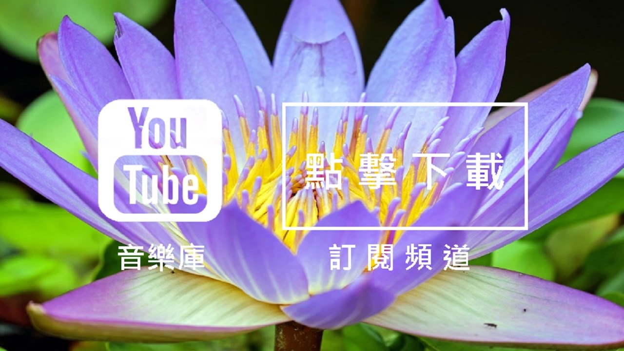 YouTube音樂庫 免費背景音樂下載 歌名: Water Lily 作者: The 126ers | Pop Music | 流行音樂