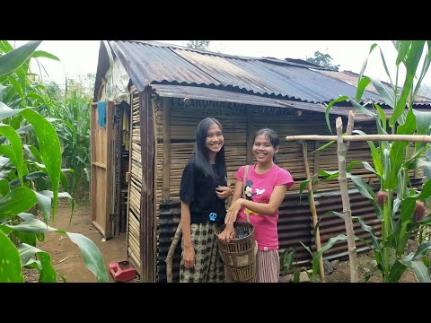 Gadis Dayak || Berburu Buah Unik Hutan Kalimantan, isi dan bijinya bisa dimakan