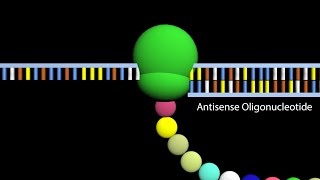 Antisense Oligonucleotides (ASO)