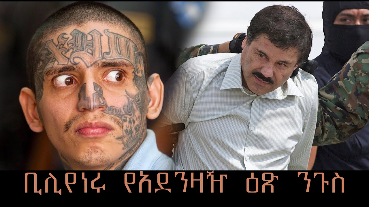 ቢሊየነሩ የአደንዛዥ ዕጽ ንጉሰ ነገስት ሸገር መቆያ Ethiopia Sheger FM Mekoya Pablo Escobar በእሸቴ አሰፋ Sheger