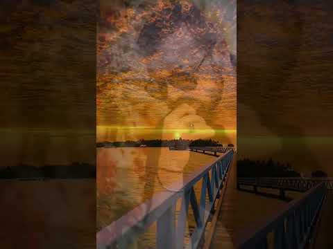 هيثم يوسف يا ناس ارحمو بحالي