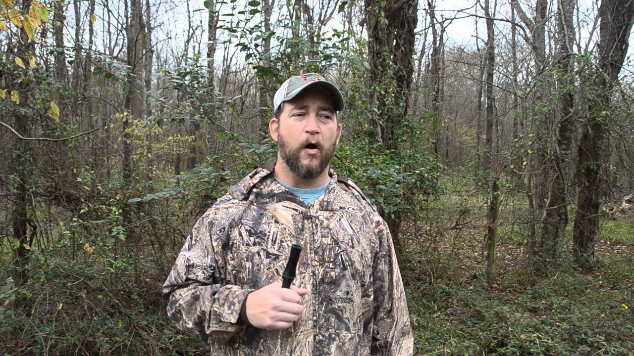 CO 03 Compensator Owl Call for locating turkeys YouTube