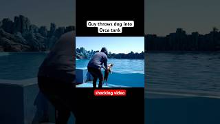 Man throws dog into the Orca tank @JavierAliagaOfficial