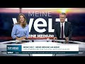 KOALITION: AfD-Chef zählt Merz an – "Herr Kanzler, das wird nichts mehr!" | WELT STREAM