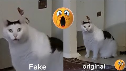 Huh! huh! (fake vs original)