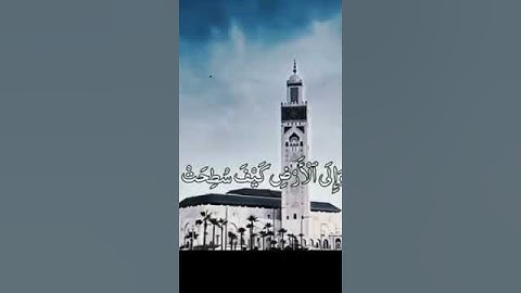 افلا ينظرون الى الابل كيف خلقت- تلاوة خاشعة الشيخ عبد الباسط عبد الصمد
