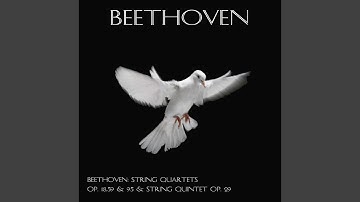 String quartet No. 4, in C Minor, Op. 18 : IV. Allegro-Prestissimo