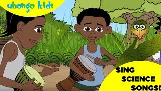 Science Songs for Kids | Ubongo Kids | Positive Black Cartoons!