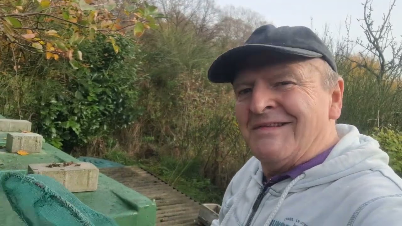 Es ist wie vor einem Jahr. Junge Königin der asiatischen Hornisen greifen wieder an  und ich auch. 