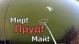 Рыбалка на платнике Три Пескаря в мае 2023г. by Shus Fishing 1,155 views 1 year ago 16 minutes