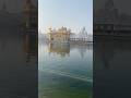❤️❤️Divine Darshan | Golden Temple❤️❤️#short #shorts #ytshorts