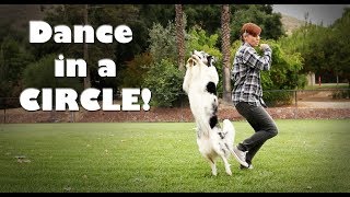 Splash's Dance Trick  Canine Freestyle Dog Tricks Tutorial