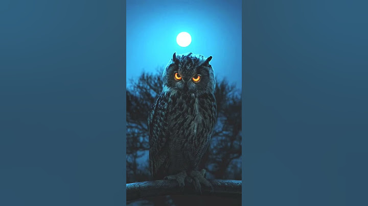 Dangerous Owl Sound | Dangerous owl | p ranjeet