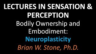 Sensation and Perception - Bodily Ownership and Embodiment Pt 3 - Neuroplasticity