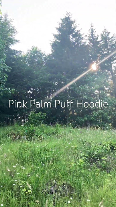 ⁠@pinkpalmpuff #pinkpalmpuff #oldies #song