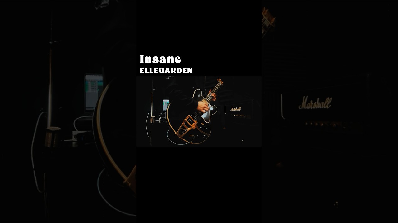 【Guitar Solo】Insane/ELLEGARDEN【Guitar copy】【ギター弾いてみた】