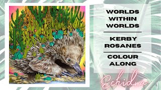 Colour Along | Worlds Within Worlds | Echidna