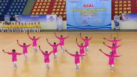 Thái cực quạt 2017 - Đội tuyển Đà Nẵng