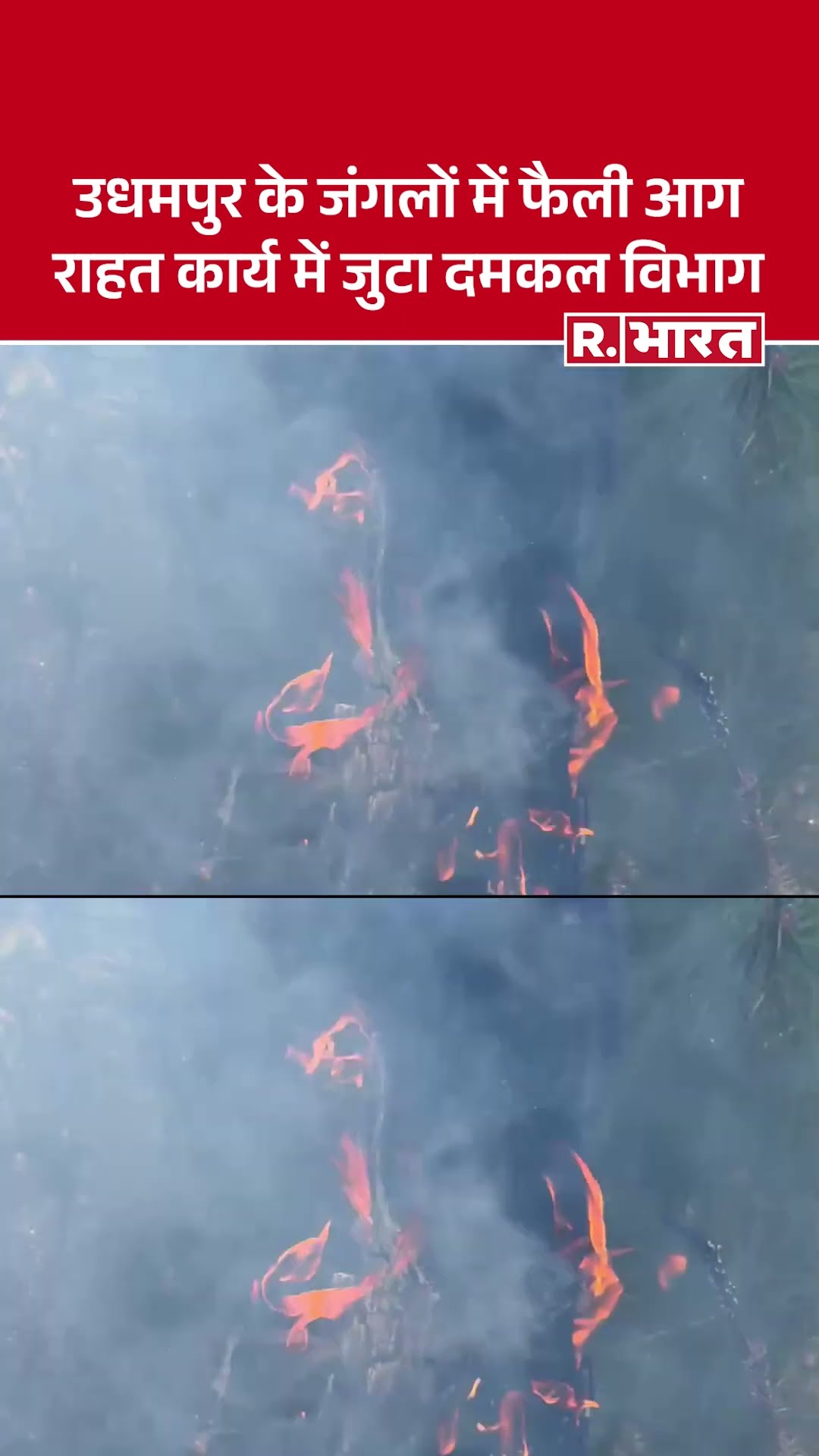 Udhampur के Urlian गांव के जंगलों में लगी आग! | Fire Breaks Out in Udhampur's Urlian Village