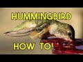 Top Ten Things You Can Do to Attract and Keep Hummingbirds in Your Yard How to Attract Hummingbirds!