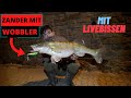 Zander mit Wobbler - so geht's! | Zanderangeln in der Nacht Tipps & Tricks | Livebisse