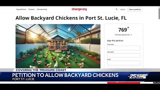 South Florida resident starts petition to allow backyard chicken farms