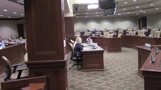 Testimony from patriots about the Paper Ballot Canvassing effort in Arkansas Counties