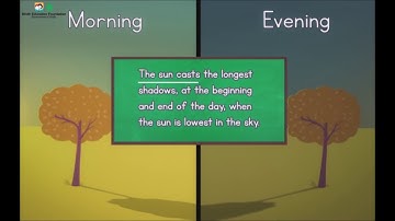 Shadow (Sindhi Version) I Science I Grade 3 Unit 3 Lesson 2