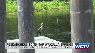 FSU professor receives grant to research Wakulla Springs, map cave systems