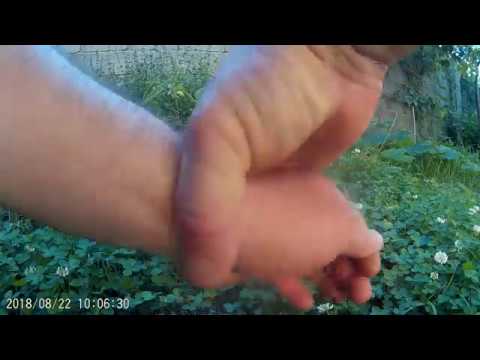 წნევის უებარი მარეგულირებელი...