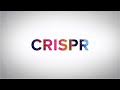 What is CRISPR? Penn Medicine Explains