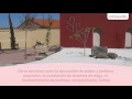Diseño de jardines en Carbajosa de la Sagrada - Paisaje Jardinería Profesional - InfoIsInfo