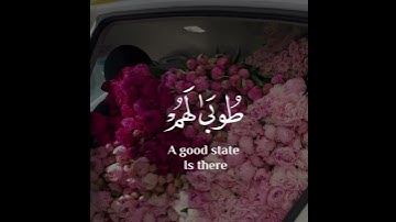 ( الذين ءامنوا وعملوا الصلحت طوبى الهم وحسن مئاب )القارئ :عبدالرحمن مسعد🌿💙سورة :الرعد⚡❤#mali_emandar