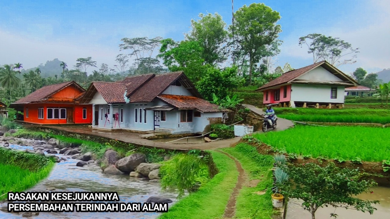 TERINDAH DARI ALAM 🤩 SUASANA SYAHDU  SAAT TURUN HUJAN Di PEDESAAN JAWA BARAT