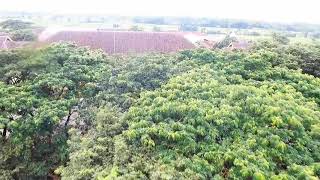 Smkn 1 udanawu blitar. *hidroponik