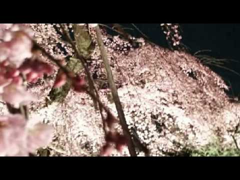 [everysing] 十六夜涙