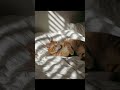 버릴곡이 하나도 없는 플리 #플레이리스트 #music #감성힙합