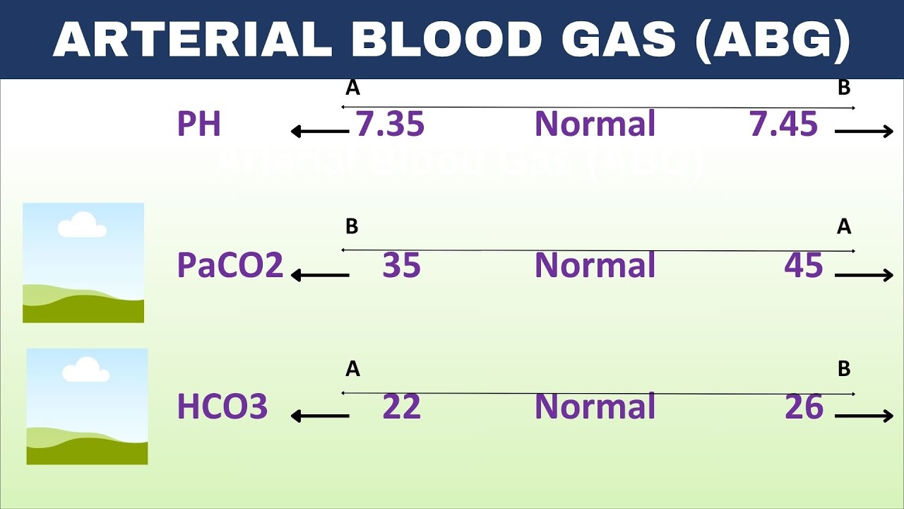 Arterial Blood Gas Analysis | ABG Analysis - YouTube