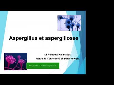 Aspergillus et aspergilloses