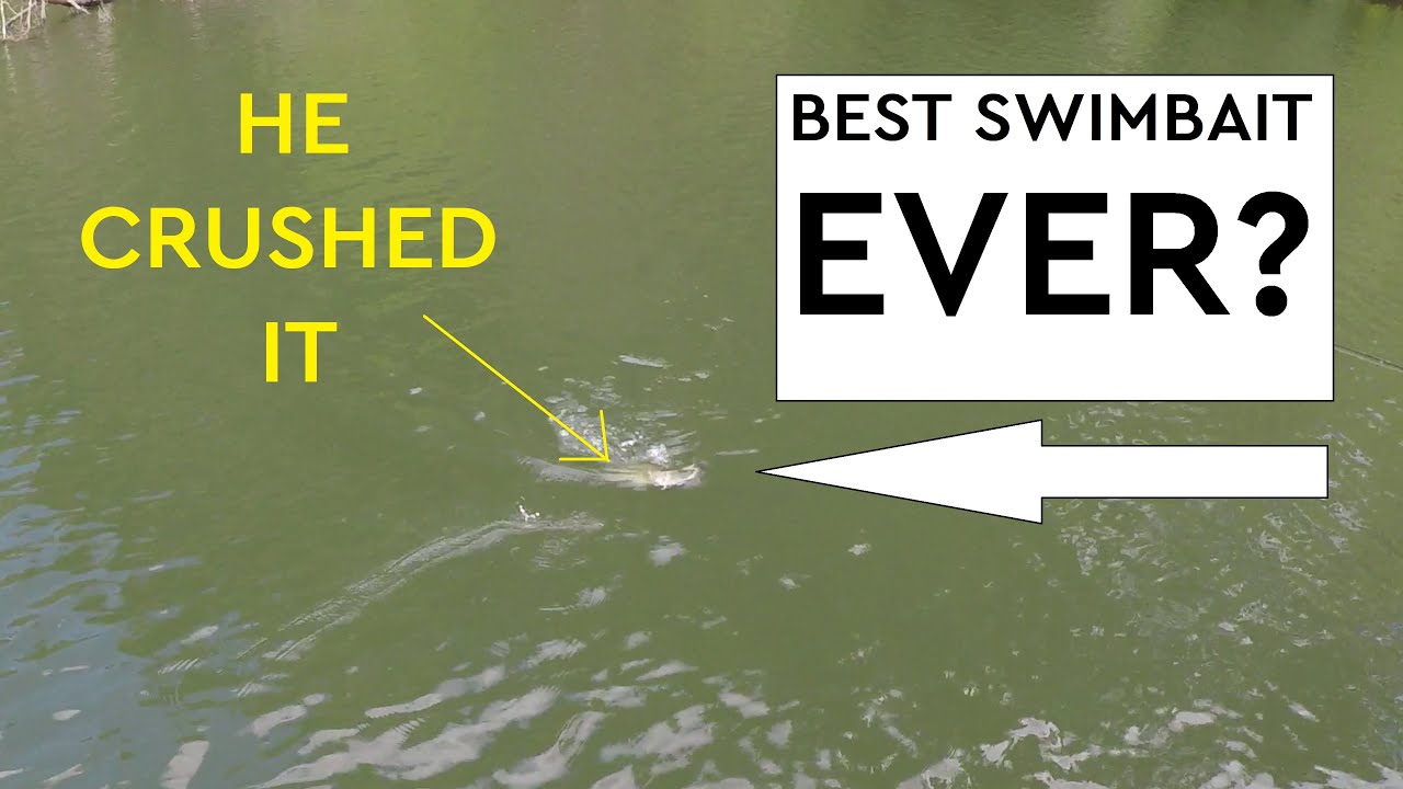 RARE Swimbait is *UNREAL*- DRT Klash 9