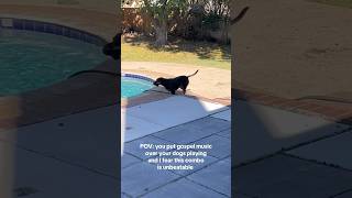 If Joy Had A Soundtrack, It Would Be This