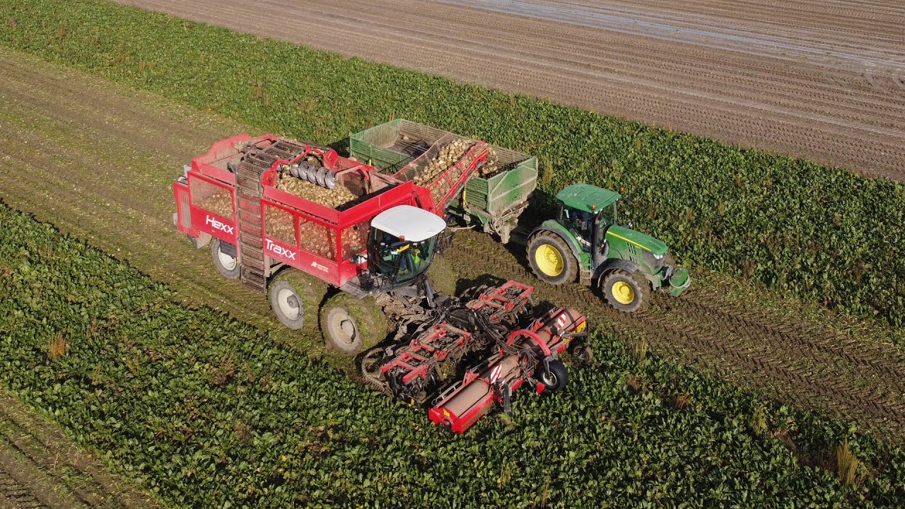 Agrifac Hexx Traxx - Loonbedrijf Van Hal - bieten rooien