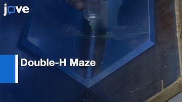 Double-H Maze: Robust Behavioral Test For Learning & Memory In Rodents l Protocol Preview