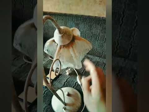 Нашатырь чистота, блеск, лайфхаки для Вас