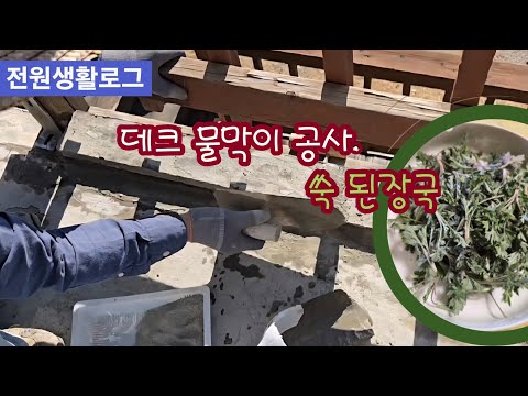 전원생활로그 메주로 장 담그기  돼지등뼈김치찜