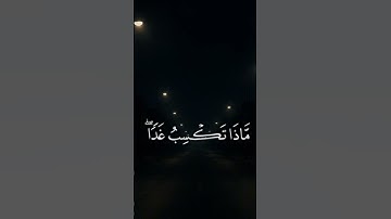 تلاوة نهاية سورة لقمان