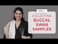 How to collect your buccal swab samples