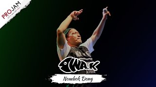 NOMBOK DONG | Iwa K [Konser PROJAM Music di Karawang 11 Maret 2017]