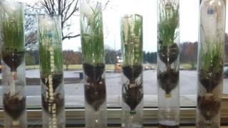 True Facts About The Eco Column